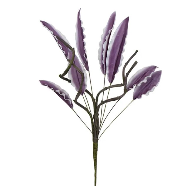 FOAM ΜΩΒ ΦΥΛΛΟ Υ120cm. 6/48ΚΙΒ – Προσφέρει μοναδική αισθητική | iroots.gr