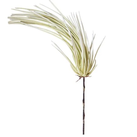 FOAM ΕΚΡΟΥ Υ73cm. 14/42ΚΙΒ – Δίνει premium χαρακτήρα στο περιβάλλον | iroots.gr