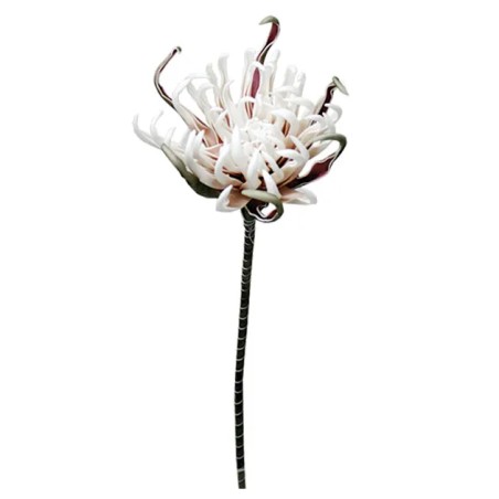 FOAM ΣΟΜΟΝ ΑΓΚΙΝΑΡΑ Y82cm. 12/120ΚΙΒ – Δίνει premium χαρακτήρα στο περιβάλλον | iroots.gr