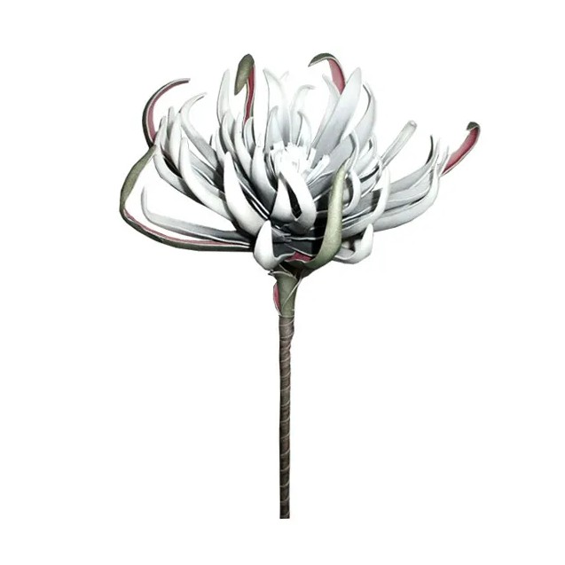 FOAM ΓΚΡΙ ΑΓΚΙΝΑΡΑ Y82cm. 12/120ΚΙΒ – Δίνει premium χαρακτήρα στο περιβάλλον | iroots.gr