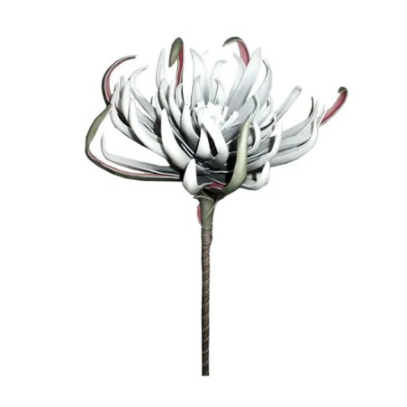 FOAM ΓΚΡΙ ΑΓΚΙΝΑΡΑ Y82cm. 12/120ΚΙΒ – Δίνει premium χαρακτήρα στο περιβάλλον | iroots.gr