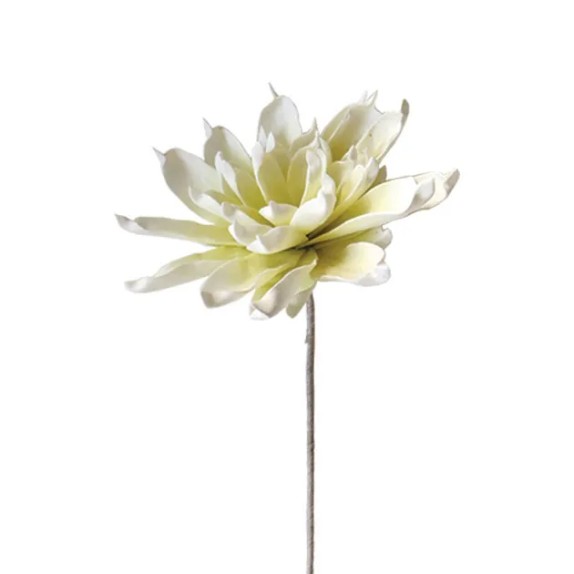 FOAM ΕΚΡΟΥ ΝΟΥΦΑΡΟ Υ90cm. 12/72ΚΙΒ – Δημιουργεί αίσθηση πολυτέλειας χωρίς κόπο | iroots.gr