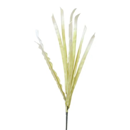 FOAM ΕΚΡΟΥ ΦΥΛΛΩΜΑ Υ113cm. 12/120ΚΙΒ – Δημιουργεί αίσθηση πολυτέλειας χωρίς κόπο | iroots.gr