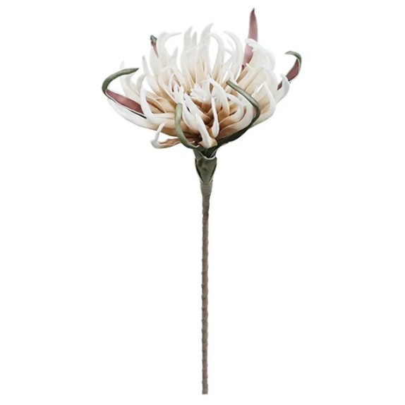 FOAM ΚΑΦΕ ΝΕΟ ΑΓΚΙΝΑΡΑ Y82cm. 12/120ΚΙΒ – Δημιουργεί αίσθηση πολυτέλειας χωρίς κόπο | iroots.gr