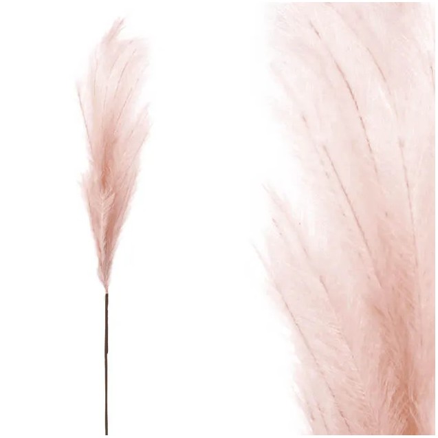 FOAM ΣΑΠΙΟ ΜΗΛΟ PAMPAS - Y117/64cm 12/120KIB