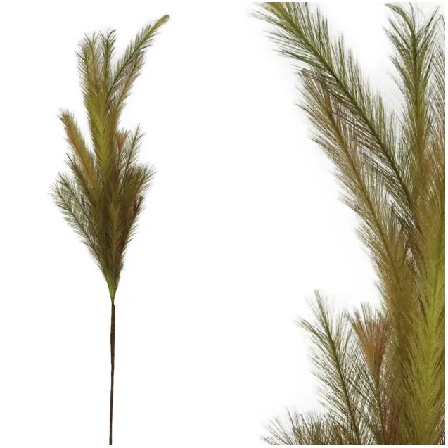 FOAM ΛΑΔΙ/ΚΑΦΕ PAMPAS Y117/64cm 12/120KIB – Δίνει premium χαρακτήρα στο περιβάλλον | iroots.gr
