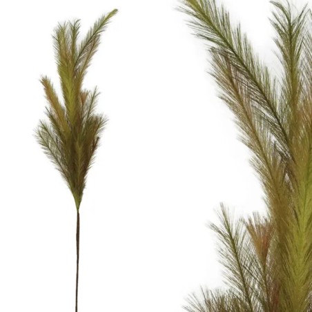 FOAM ΛΑΔΙ/ΚΑΦΕ PAMPAS Y117/64cm 12/120KIB – Δίνει premium χαρακτήρα στο περιβάλλον | iroots.gr