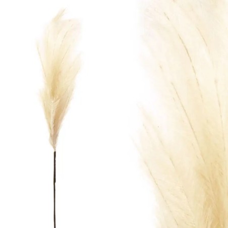 FOAM ΕΚΡΟΥ PAMPAS Y117/64cm 12/120KIB – Ταιριάζει σε κάθε μοντέρνο ή επαγγελματικό χώρο | iroots.gr