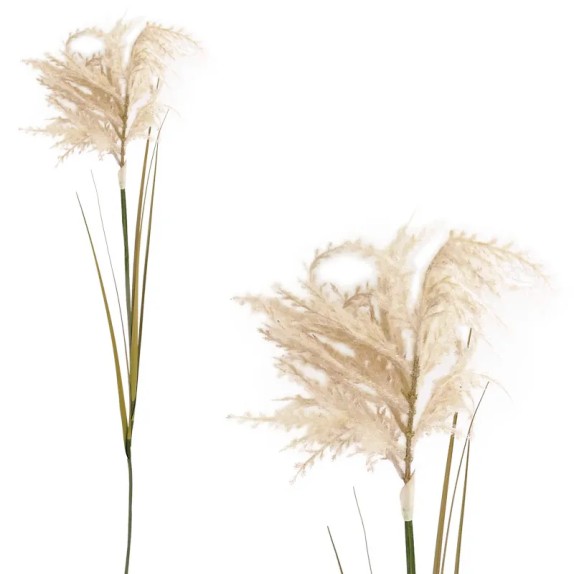 ΚΛΑΔΙ ΠΑΜΠΑΣ ΚΟΝΤΟ ΡΟΖ - Y110cm 125/500KIB – Δημιουργεί αίσθηση πολυτέλειας χωρίς κόπο | iroots.gr