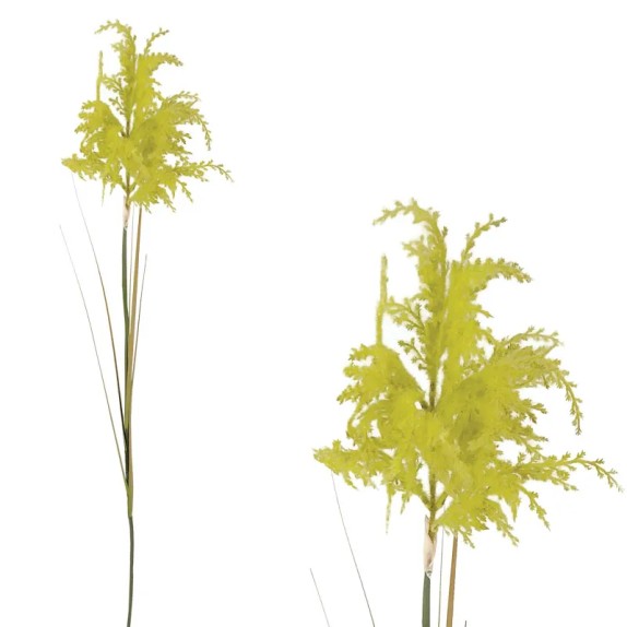 ΚΛΑΔΙ ΠΑΜΠΑΣ ΚΟΝΤΟ ΠΡΑΣΙΝΟ - Y110cm 125/500KIB – Δημιουργεί αίσθηση πολυτέλειας χωρίς κόπο | iroots.gr