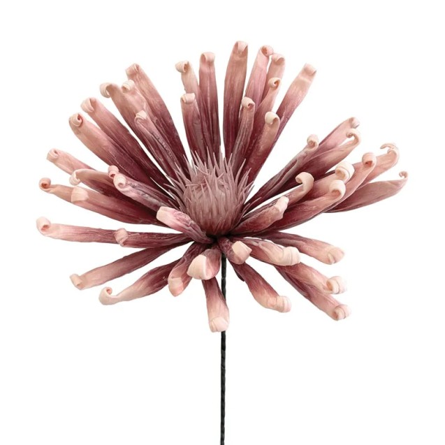 ΛΟΥΛΟΥΔΙ FOAM ΑΝΘΟΣ ΑΧΙΝΟΥ ΣΟΜΟΝ - 30x85cm 8/48ΚΙΒ – Αναβαθμίζει άμεσα τον χώρο σου | iroots.gr