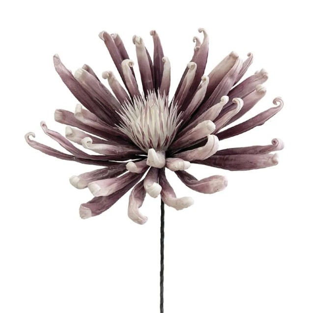 ΛΟΥΛΟΥΔΙ FOAM ΑΝΘΟΣ ΑΧΙΝΟΥ ΣΑΠΙΟ ΜΗΛΟ - 30x85cm 8/48ΚΙΒ – Δίνει premium χαρακτήρα στο περιβάλλον | iroots.gr