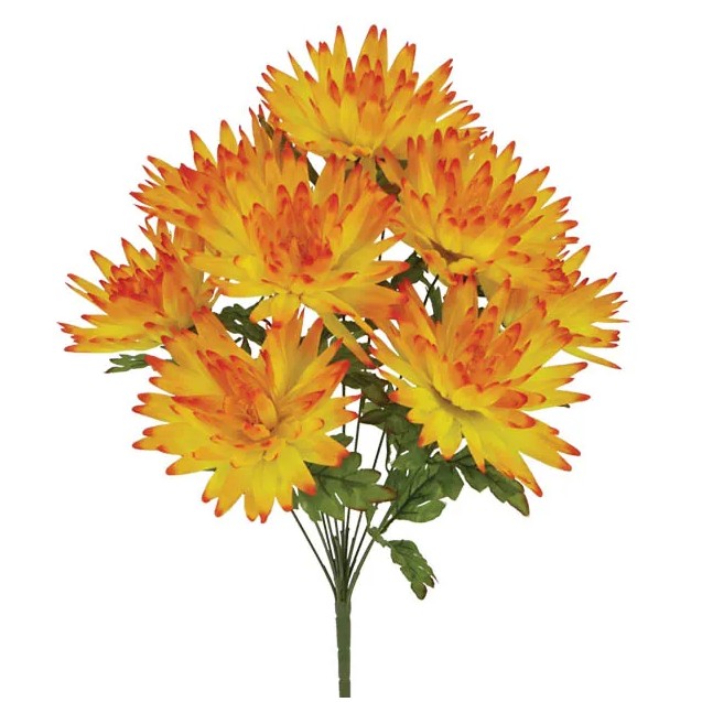 ΜΠΟΥΚΕΤΟ ΝΤΑΛΙΑ ΠΟΡΤΟΚΑΛΙ X11 Y54cm 24/96ΚΙΒ – Αναβαθμίζει άμεσα τον χώρο σου | iroots.gr