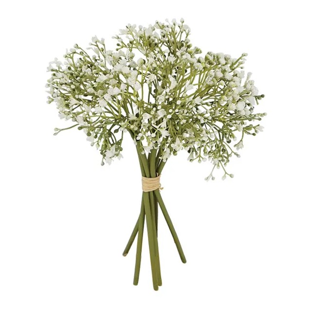 ΜΠΟΥΚΕΤΟ ΓΥΨΟΦΥΛΛΗ X6 ΠΡΑΣΙΝΟ/ΛΕΥΚΟ Χ6 Y28cm. 12/144KIB – Ταιριάζει σε κάθε μοντέρνο ή επαγγελματικό χώρο | iroots.gr