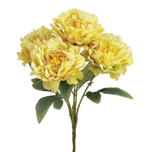 ΚΙΤΡΙΝΟ ΠΑΣΤΕΛ ΜΠΟΥΚΕΤΟ ΠΑΙΩΝΙΑ Χ5 - Υ48cm 12/48ΚΙΒ – Δημιουργεί αίσθηση πολυτέλειας χωρίς κόπο | iroots.gr