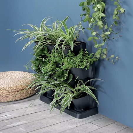 ΓΛΑΣΤΡΑΚΙΑ X12 ΕΠIΔΑΠΕΔΙΑ ΑΝΘΡΑΚΙ CASCADE GARDEN 68.5x19x54.6cm 1/1ΚΙΒ – Αναβαθμίζει άμεσα τον χώρο σου | iroots.gr