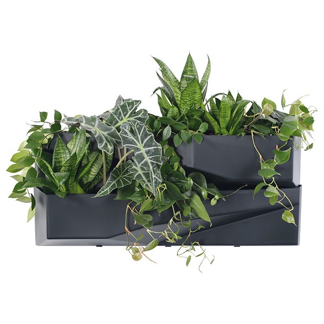 ΖΑΡΝΤΙΝΙΕΡΑ Χ2 ΕΠΙΤΟΙΧΗ ΑΝΘΡΑΚΙ CASCADE GARDEN WALL 78x19x35cm – Δίνει premium χαρακτήρα στο περιβάλλον | iroots.gr