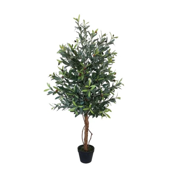 ΔΕΝΤΡΟ ΕΛΙΑΣ ΣΕ ΓΛΑΣΤΡΑ - Y120cm 4/ΚΙΒ – Δημιουργεί αίσθηση πολυτέλειας χωρίς κόπο | iroots.gr