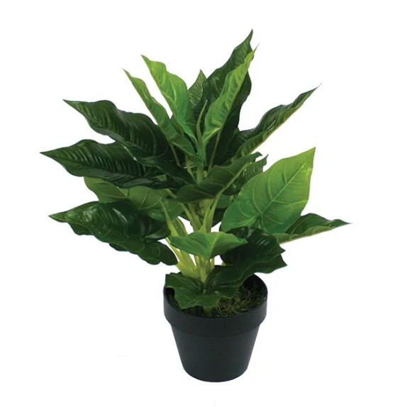 ΦΥΤΟ ΑΝΘΟΥΡΙΟ REAL TOUCH ΣΕ ΓΛΑΣΤΡΑ - Y42cm 4/16ΚΙΒ – Αναβαθμίζει άμεσα τον χώρο σου | iroots.gr