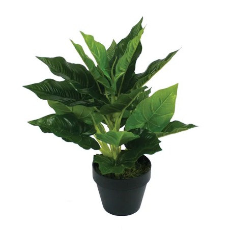 ΦΥΤΟ ΑΝΘΟΥΡΙΟ REAL TOUCH ΣΕ ΓΛΑΣΤΡΑ - Y42cm 4/16ΚΙΒ – Αναβαθμίζει άμεσα τον χώρο σου | iroots.gr