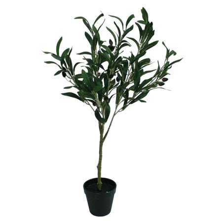 ΔΕΝΤΡΟ ΕΛΙΑΣ ΣΕ ΓΛΑΣΤΡΑ - Y65cm 6/72ΚΙΒ – Προσφέρει μοναδική αισθητική | iroots.gr