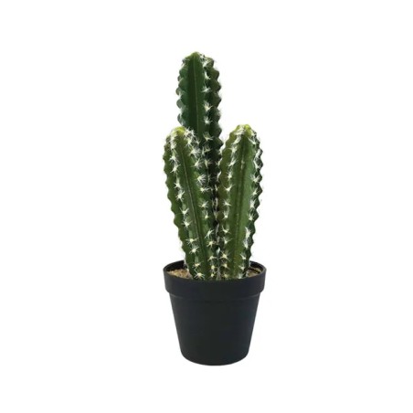 ΚΑΚΤΟΣ-ΑΓΙΟΣ ΠΕΤΡΟΣ ΣΕ ΓΛΑΣΤΡΑ - Y38cm 6/48KIB – Δημιουργεί αίσθηση πολυτέλειας χωρίς κόπο | iroots.gr