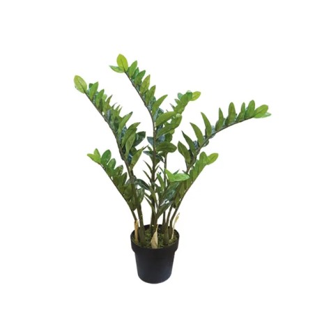 ΔΕΝΤΡΟ ΖΑΜΙA REAL TOUCH ΣΕ ΓΛΑΣΤΡΑ - Y95cm 4/ΚΙΒ – Προσφέρει μοναδική αισθητική | iroots.gr