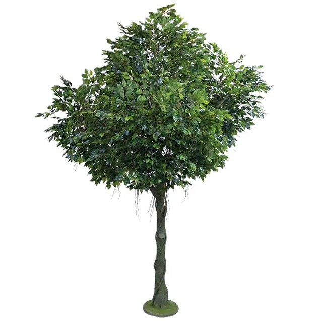 ΔΕΝΤΡΟ ΜΠΕΝΖΑΜΙΝ ΓΙΓΑΣ REAL TOUCH Υ300cm 1/ΚΙΒ – Ταιριάζει σε κάθε μοντέρνο ή επαγγελματικό χώρο | iroots.gr