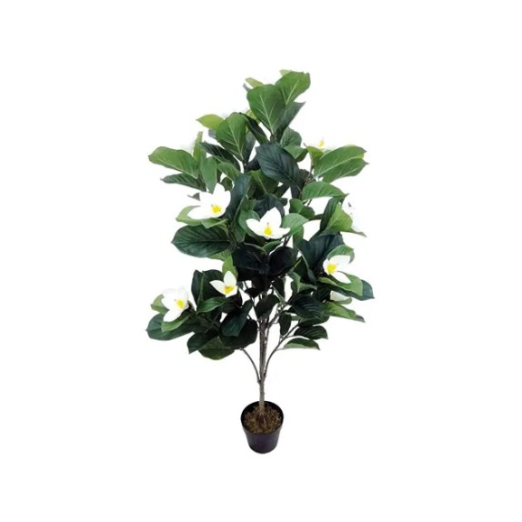 ΔΕΝΤΡΟ MANΩΛΙΑ ΕΚΡΟΥ ΑΝΘΗ ΣΕ ΓΛΑΣΤΡΑ - Y140cm 1/2KIB – Δίνει premium χαρακτήρα στο περιβάλλον | iroots.gr