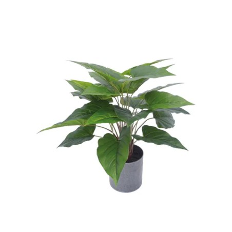 ΦΥΤΟ ΑΝΘΟΥΡΙΟ ΠΡΑΣΙΝΟ ΣΕ ΚΑΣΠΩ - Y45cm 1/6KIB – Δημιουργεί αίσθηση πολυτέλειας χωρίς κόπο | iroots.gr