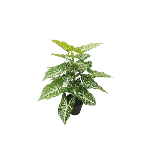 ΦΥΤΟ ΚΑΛΑΔΙΟ REAL TOUCH ΣΕ ΓΛΑΣΤΡΑ - Y45cm 1/16KIB – Προσφέρει μοναδική αισθητική | iroots.gr