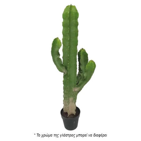 ΦΥΤΟ ΚΑΚΤΟΣ-ΑΓΙΟΣ ΠΕΤΡΟΣ ΣΕ ΓΛΑΣΤΡΑ - Y115cm 1/2KIB – Ταιριάζει σε κάθε μοντέρνο ή επαγγελματικό χώρο | iroots.gr