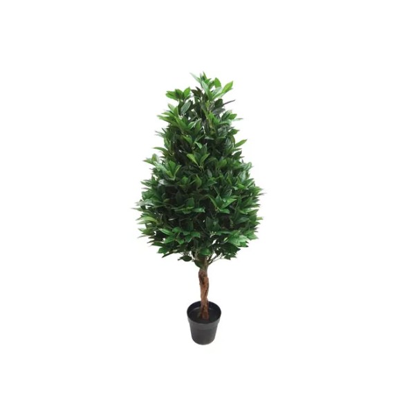 ΔΕΝΤΡΟ ΔΑΦΝΗ ΤΡΙΓΩΝΙΚΗ ΣΕ ΓΛΑΣΤΡΑ - Y130cm 2/KIB – Δίνει premium χαρακτήρα στο περιβάλλον | iroots.gr