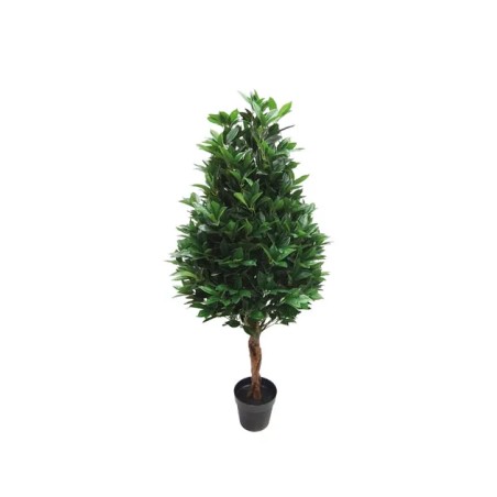 ΔΕΝΤΡΟ ΔΑΦΝΗ ΤΡΙΓΩΝΙΚΗ ΣΕ ΓΛΑΣΤΡΑ - Y130cm 2/KIB – Δίνει premium χαρακτήρα στο περιβάλλον | iroots.gr