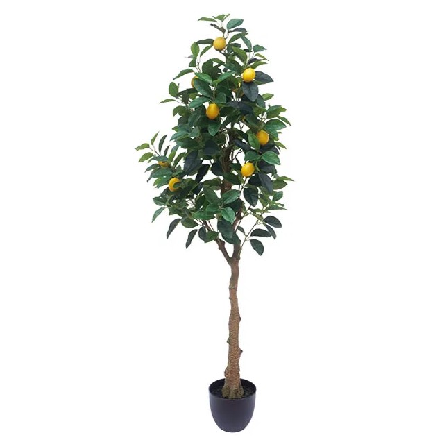 ΔΕΝΤΡΟ ΛΕΜΟΝΙΑ REAL TOUCH ΣΕ ΓΛΑΣΤΡΑ - Υ150cm 4/ΚΙΒ – Δημιουργεί αίσθηση πολυτέλειας χωρίς κόπο | iroots.gr