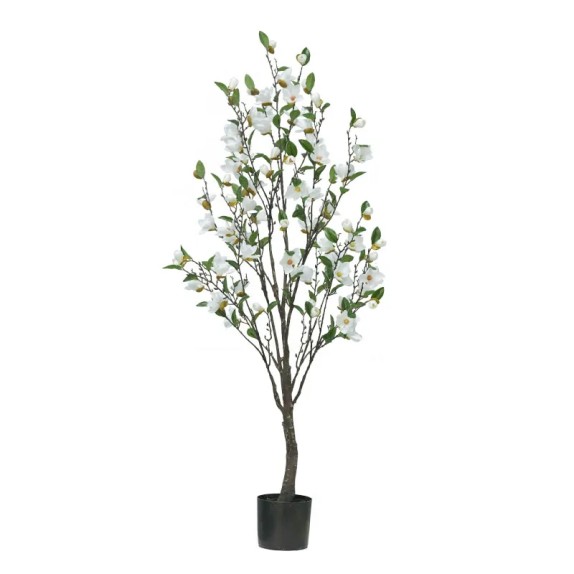 ΔΕΝΤΡΟ ΛΕΥΚΟ ΜΑΝΩΛΙΑ ΣΕ ΓΛΑΣΤΡΑ Υ140cm 2/ΚΙΒ – Ταιριάζει σε κάθε μοντέρνο ή επαγγελματικό χώρο | iroots.gr