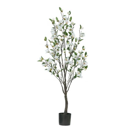 ΔΕΝΤΡΟ ΛΕΥΚΟ ΜΑΝΩΛΙΑ ΣΕ ΓΛΑΣΤΡΑ Υ140cm 2/ΚΙΒ – Ταιριάζει σε κάθε μοντέρνο ή επαγγελματικό χώρο | iroots.gr