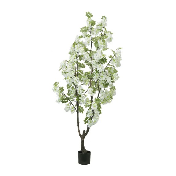 ΔΕΝΤΡΟ ΛΕΥΚΟ ΠΑΣΧΑΛΙΑ ΣΕ ΓΛΑΣΤΡΑ Υ190cm 2/ΚΙΒ – Αναβαθμίζει άμεσα τον χώρο σου | iroots.gr