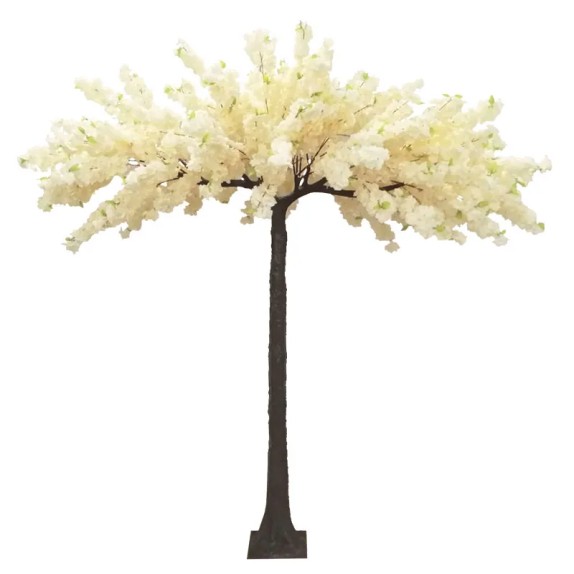 ΔΕΝΤΡΟ ΕΚΡΟΥ ΑΝΘΙΣΜΕΝΗ ΚΕΡΑΣΙΑ Υ260cm 1/ΚΙΒ – Δημιουργεί αίσθηση πολυτέλειας χωρίς κόπο | iroots.gr