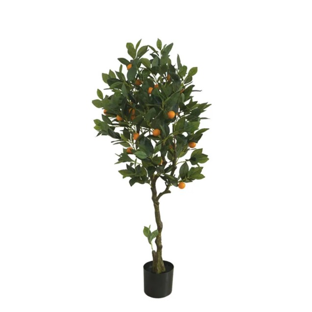 ΔΕΝΤΡΟ ΠΟΡΤΟΚΑΛΙΑ REAL TOUCH - Υ125cm 1/2ΚΙΒ – Προσφέρει μοναδική αισθητική | iroots.gr