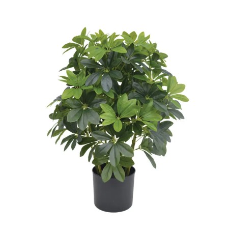 ΔΕΝΤΡΟ ΣΕΦΛΙΕΡΑ ΠΡΑΣΙΝΟ REAL TOUCH ΣΕ ΚΑΣΠΩ - Υ70cm 1/2ΚΙΒ – Ταιριάζει σε κάθε μοντέρνο ή επαγγελματικό χώρο | iroots.gr