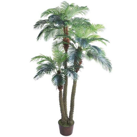 ΔΕΝΤΡΟ ΦΟΙΝΙΚΑΣ ΑΡΕΚΑ X3 REAL TOUCH ΣΕ ΚΑΣΠΩ - Υ300cm 1/1ΚΙΒ – Προσφέρει μοναδική αισθητική | iroots.gr