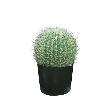 ΤΕΧΝΗΤΟΣ ΚΑΚΤΟΣ ΜΠΑΛΑ-ΕΧΙΝΟΚΑΚΤΟΣ ΣΕ ΓΛΑΣΤΡΑ - Υ30cm 4/ΚΙΒ – Δημιουργεί αίσθηση πολυτέλειας χωρίς κόπο | iroots.gr