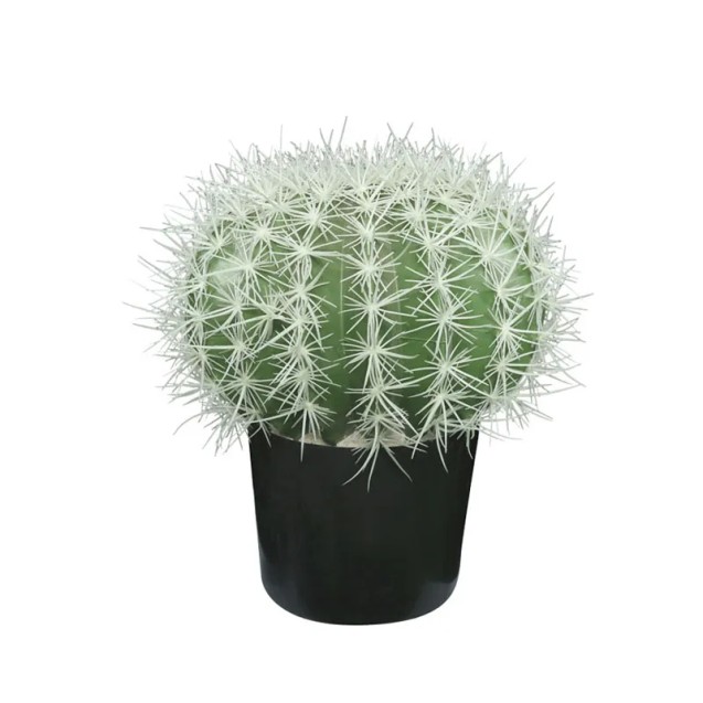 ΤΕΧΝΗΤΟΣ ΚΑΚΤΟΣ ΜΠΑΛΑ-ΕΧΙΝΟΚΑΚΤΟΣ ΣΕ ΓΛΑΣΤΡΑ - Υ38cm 4/ΚΙΒ – Αναβαθμίζει άμεσα τον χώρο σου | iroots.gr