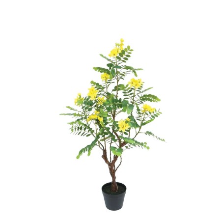 ΔΕΝΤΡΟ ΚΑΣΣΙΑ ΚΙΤΡΙΝΟ REAL TOUCH ΣΕ ΚΑΣΠΩ - Υ90cm 1/4ΚΙΒ – Δίνει premium χαρακτήρα στο περιβάλλον | iroots.gr