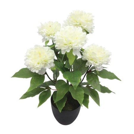 ΦΥΤΟ ΠΑΙΩΝΙΑ X5 ΕΚΡΟΥ ΣΕ ΚΑΣΠΩ - Υ48cm 4/24ΚΙΒ – Ταιριάζει σε κάθε μοντέρνο ή επαγγελματικό χώρο | iroots.gr