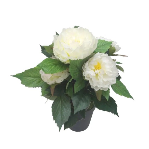 ΦΥΤΟ ΠΑΙΩΝΙΑ Χ5 ΛΕΥΚΟ ΣΕ ΚΑΣΠΩ - Υ45cm 4/12ΚΙΒ – Αναβαθμίζει άμεσα τον χώρο σου | iroots.gr