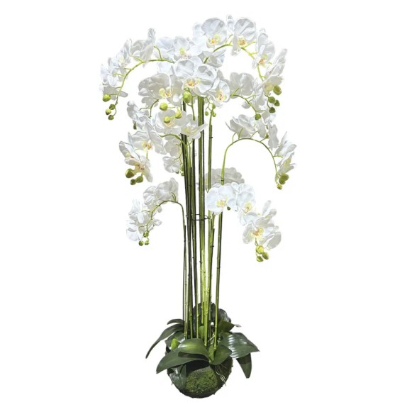 ΦΥΤΟ ΟΡΧΙΔΕΑ ΛΕΥΚΟ ΑΝΘΗ REAL TOUCH - Υ135cm 1/ΚΙΒ – Δημιουργεί αίσθηση πολυτέλειας χωρίς κόπο | iroots.gr