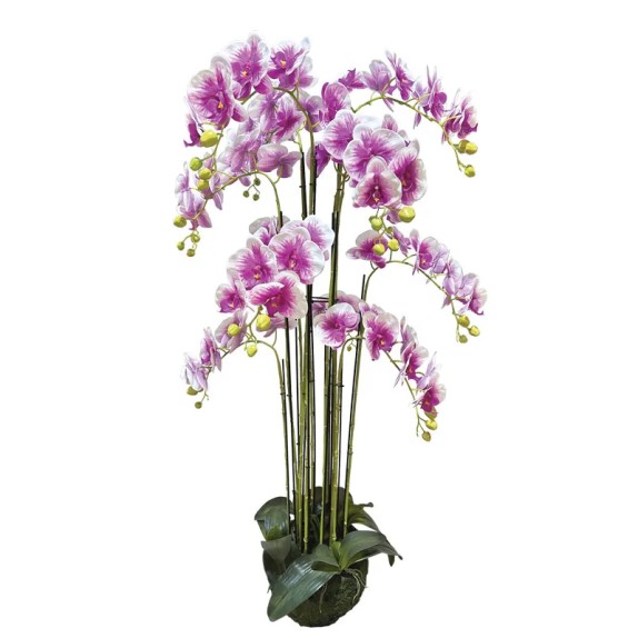 ΦΥΤΟ ΟΡΧΙΔΕΑ ΔΙΧΡΩΜΟ ΜΩΒ/ΛΕΥΚΑ ΑΝΘΗ REAL TOUCH - Υ135cm 1/ΚΙΒ – Δημιουργεί αίσθηση πολυτέλειας χωρίς κόπο | iroots.gr