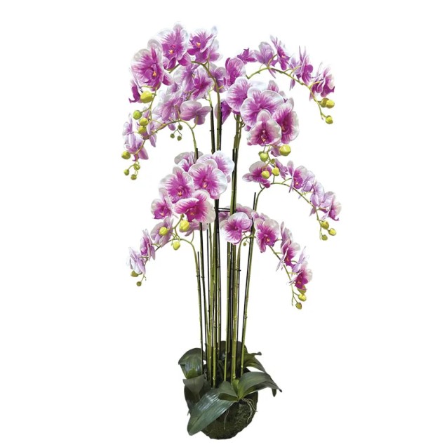 ΦΥΤΟ ΟΡΧΙΔΕΑ ΔΙΧΡΩΜΟ ΜΩΒ/ΛΕΥΚΑ ΑΝΘΗ REAL TOUCH - Υ135cm 1/ΚΙΒ – Δημιουργεί αίσθηση πολυτέλειας χωρίς κόπο | iroots.gr